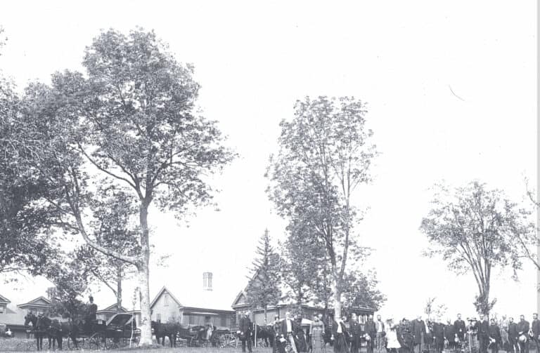 dozens of people and horse drawn carriages in front of the Bowen Residenz, Plaine Hill ca 1885